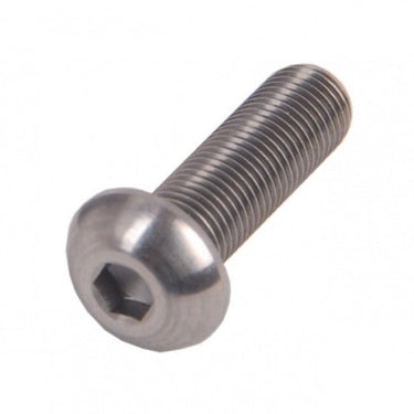 Bofix bolkop inbusbout m6 x 30 rvs