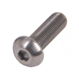 Bofix ds inbusbouten m6x40 bol rvs (12st)