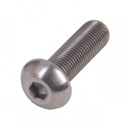 Bofix ds inbusbouten m6x40 bol rvs (12st)