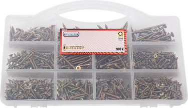 Connex assortiment uni.schroeven tx 900dlg - dp8500130