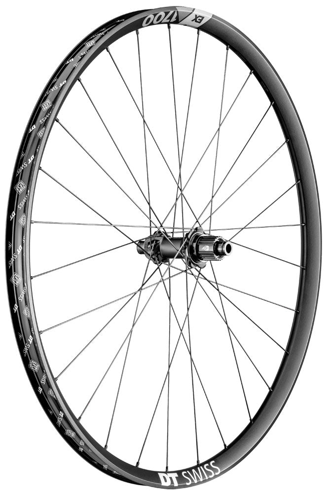 Load image into Gallery viewer, Dt swiss ex 1700 spline® 30 cl boost 29 rear wheel
