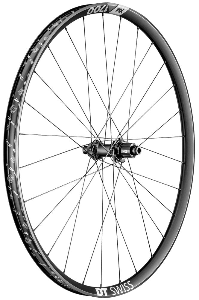 Load image into Gallery viewer, Dt swiss xm 1700 spline® 30 cl boost 29 rear wheel

