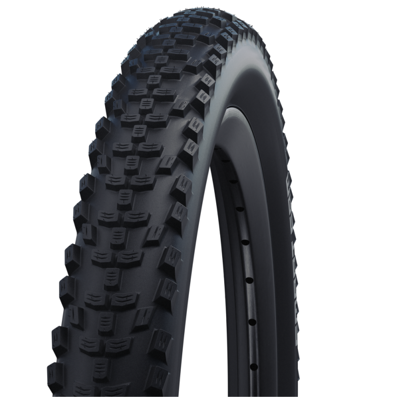 Schwalbe smart sam buitenband 20x1.90 (47-406) k-guard zwart (label)