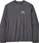 Patagonia lightweight applied imagination wildrise crew pullover