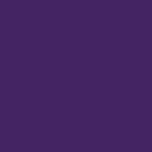 E6000 eclectic • unicornspit 118,2ml purple hill majesty