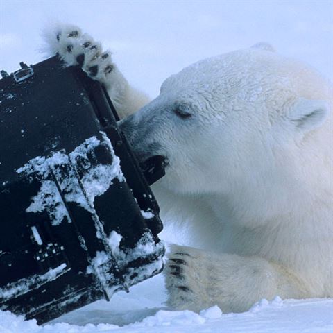 Load image into Gallery viewer, Explorer Cases 1913 Koffer Zwart met Plukschuim

