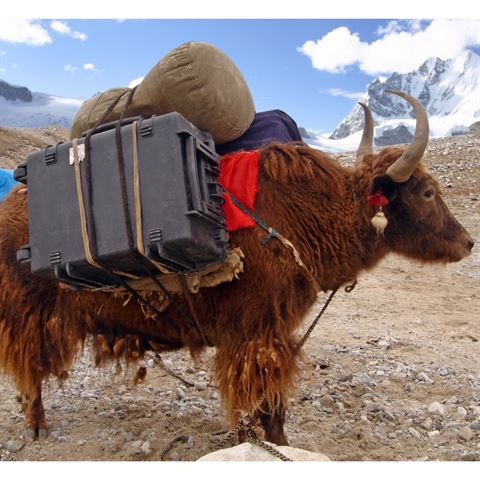 Load image into Gallery viewer, Explorer Cases 4820HL Koffer Zwart met Plukschuim
