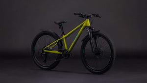 Cube acid 240 disc fe lizard´n´blue