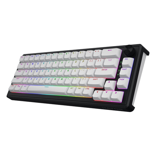 Hator skyfall wireless rgb mechanisch gaming toetsenbord (zwart, us lay-out (qwerty), hator aurum sterling, 65%, rgb, double shot abs, hot-swap, 2.4ghz | bluetooth | usb-c)