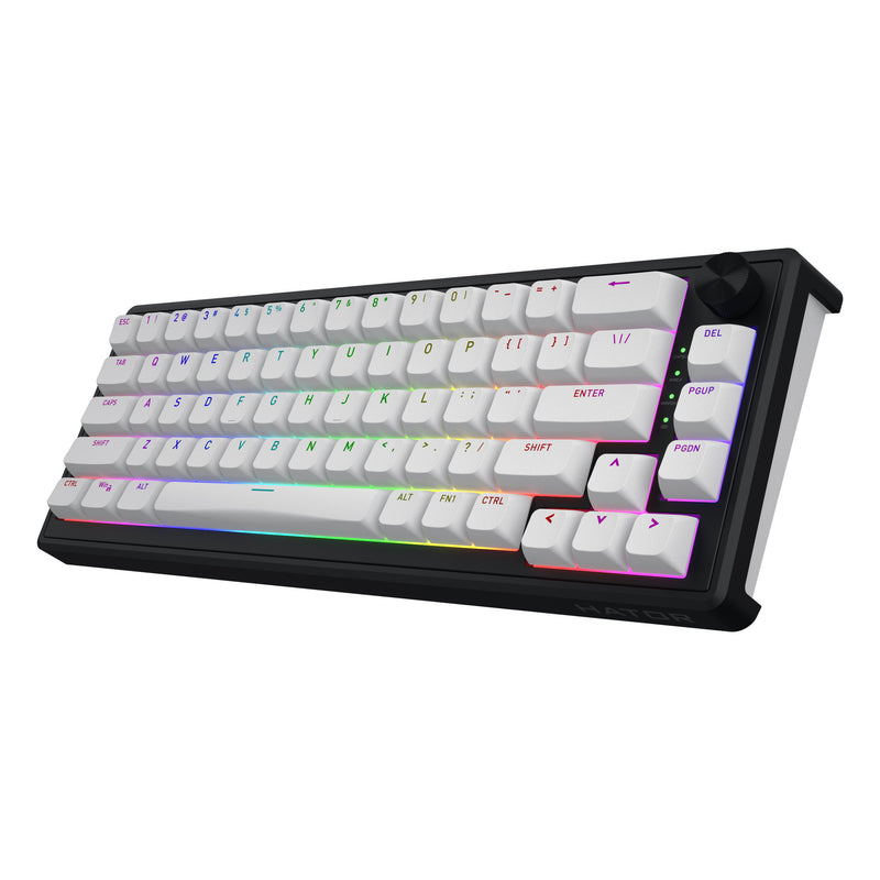 ギャラリービューアに画像をロードする, Hator skyfall wireless rgb mechanisch gaming toetsenbord (zwart, us lay-out (qwerty), hator aurum sterling, 65%, rgb, double shot abs, hot-swap, 2.4ghz | bluetooth | usb-c)
