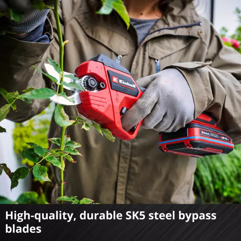 Load image into Gallery viewer, Einhell professionele accusnoeischaar gp-ls 18 28 li bl-solo takkenschaar (rood zwart, accu en oplader niet inbegrepen, power x-change)
