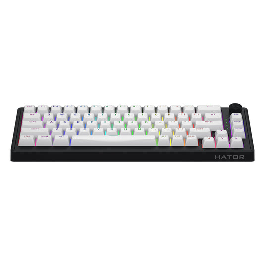 Hator skyfall mag ultra 8k rgb mechanisch gaming toetsenbord (zwart, us lay-out (qwerty), hator aurum ice, 65%, rgb, double-shot pbt, hot-swap)