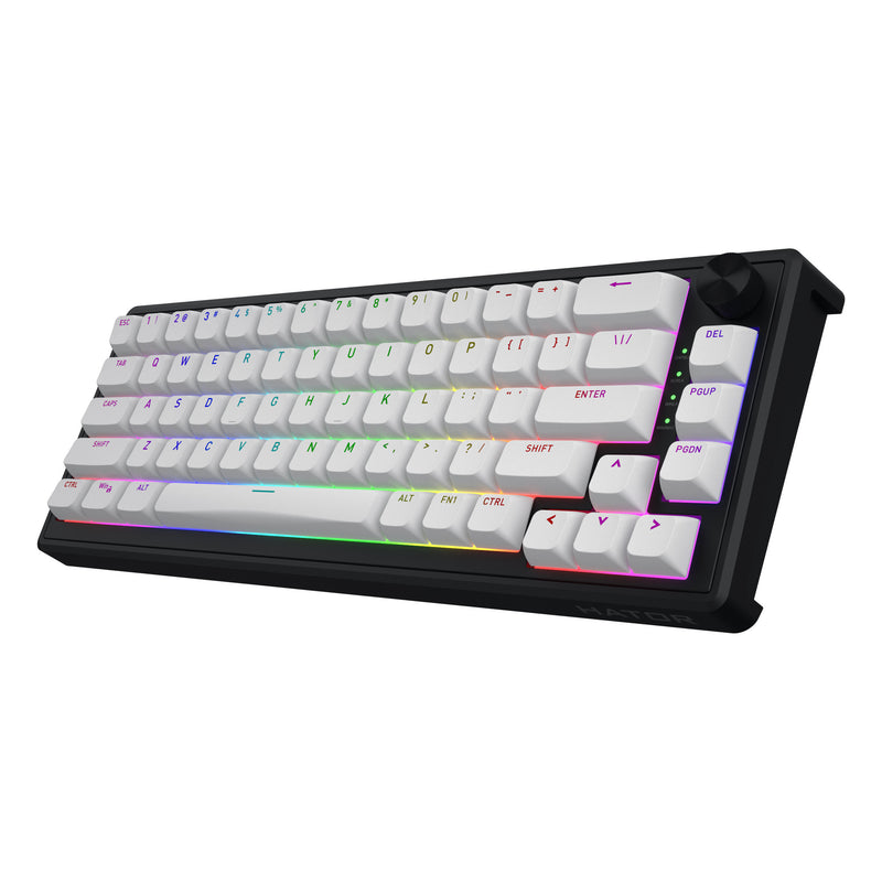 ギャラリービューアに画像をロードする, Hator skyfall mag ultra 8k rgb mechanisch gaming toetsenbord (zwart, us lay-out (qwerty), hator aurum ice, 65%, rgb, double-shot pbt, hot-swap)
