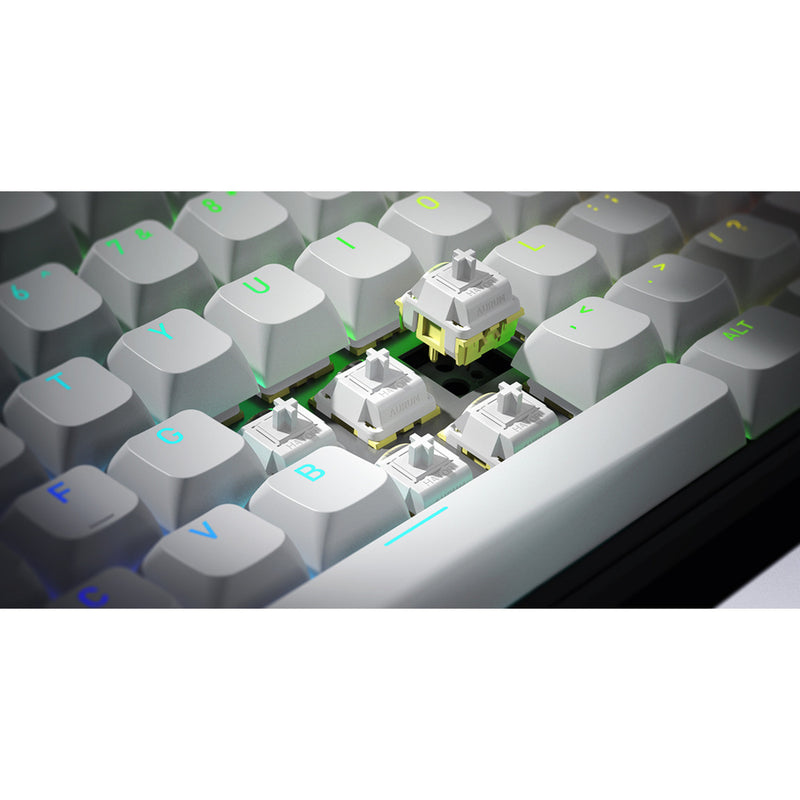 Chargez l'image dans la visionneuse de la galerie, Hator rockfall 3 tkl wireless rgb mechanisch gaming toetsenbord (wit, us lay-out (qwerty), hator aurum orange, 80% (tkl), rgb, pbt keycaps, hotswap, 2.4 ghz bluetooth usb-c)
