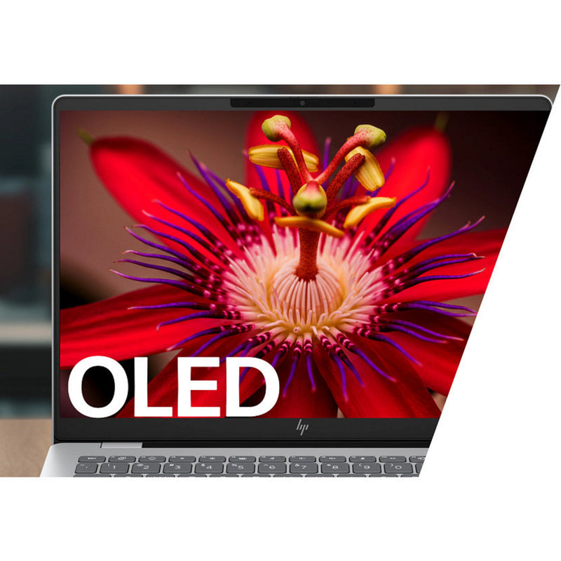 Load image into Gallery viewer, Hp omnibook 7 14-fs0005nd (cf1y8ea) 14 laptop (zilver | core 5 210h | intel graphics | 16 gb | 512 gb ssd)
