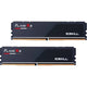 G.skill flare x5 32 gb ddr5-6000 (2x 16 gb) werkgeheugen (zwart, f5-6000j3038f16gx2-fx5, expo)
