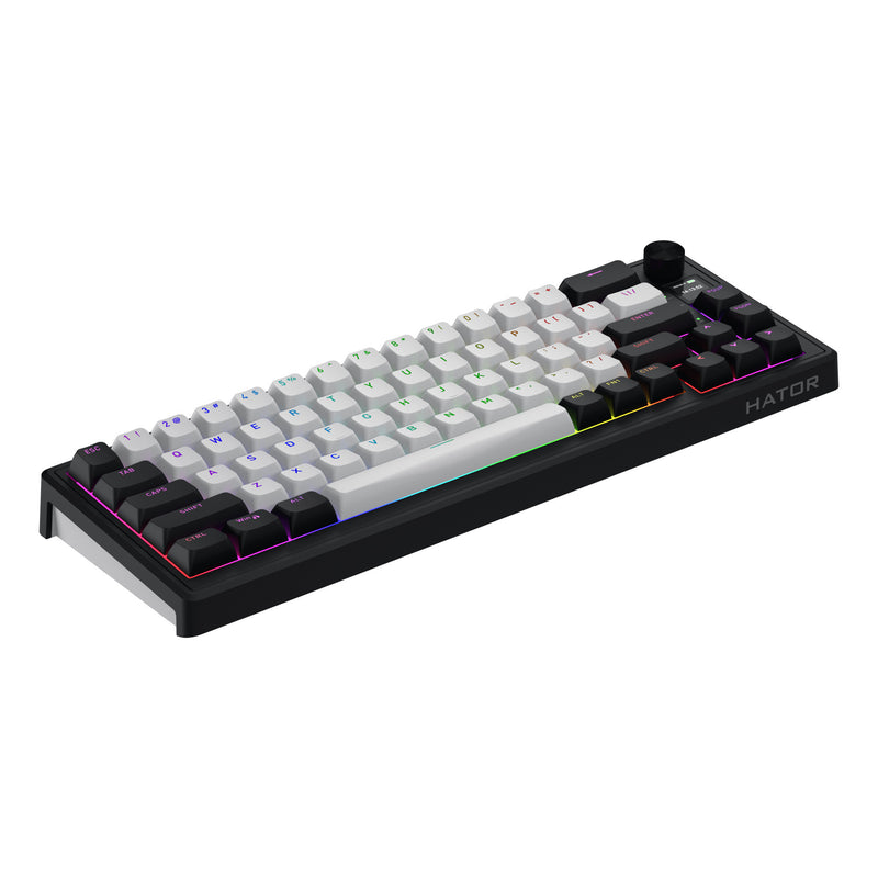 ギャラリービューアに画像をロードする, Hator skyfall mag ultima 8k wireless rgb mechanisch gaming toetsenbord (zwart, us lay-out (qwerty), hator aurum ice, 65%, rgb, double-shot pbt, hot-swap, 2.4ghz | bluetooth | usb-c)
