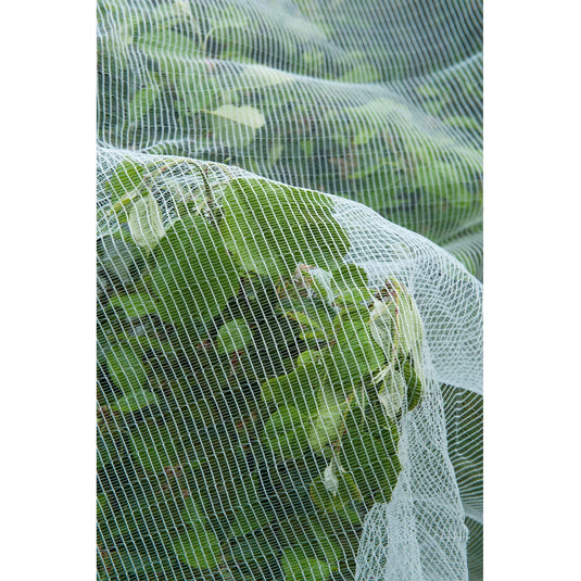 Nature insectengaas, fijnmazig insectenhor (wit transparant, 5,2 x 5 m)