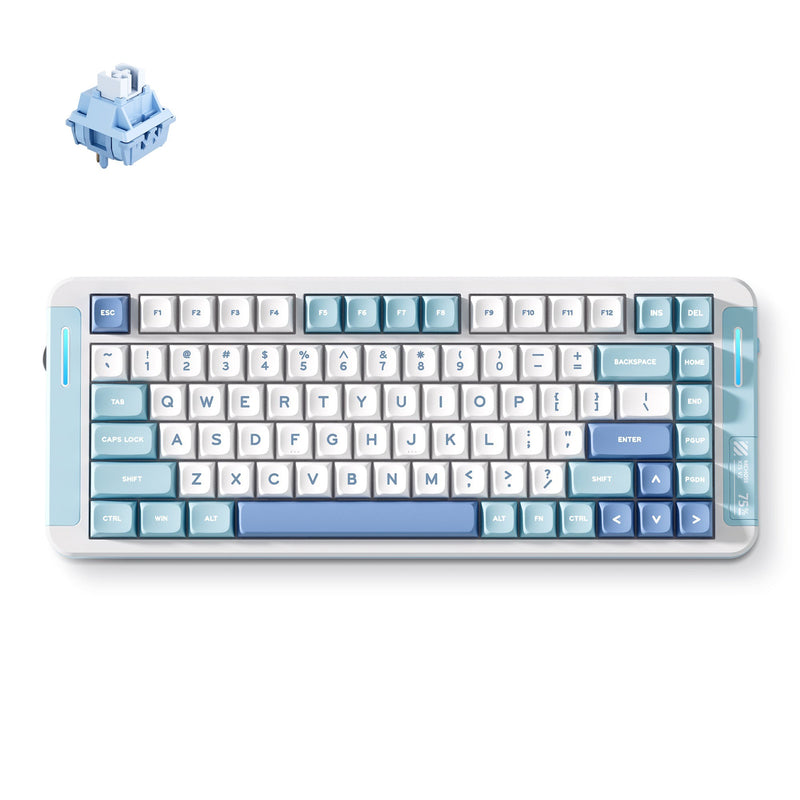 Laden Sie das Bild in Galerie -Viewer, Mchose x75 v2 blue whale sea custom mechanical rgb toetsenbord (wit, us lay-out (qwerty), swk whale sea, 75%, rgb, hot swap, double-shot pbt, draadloos | bluetooth | usb-c)

