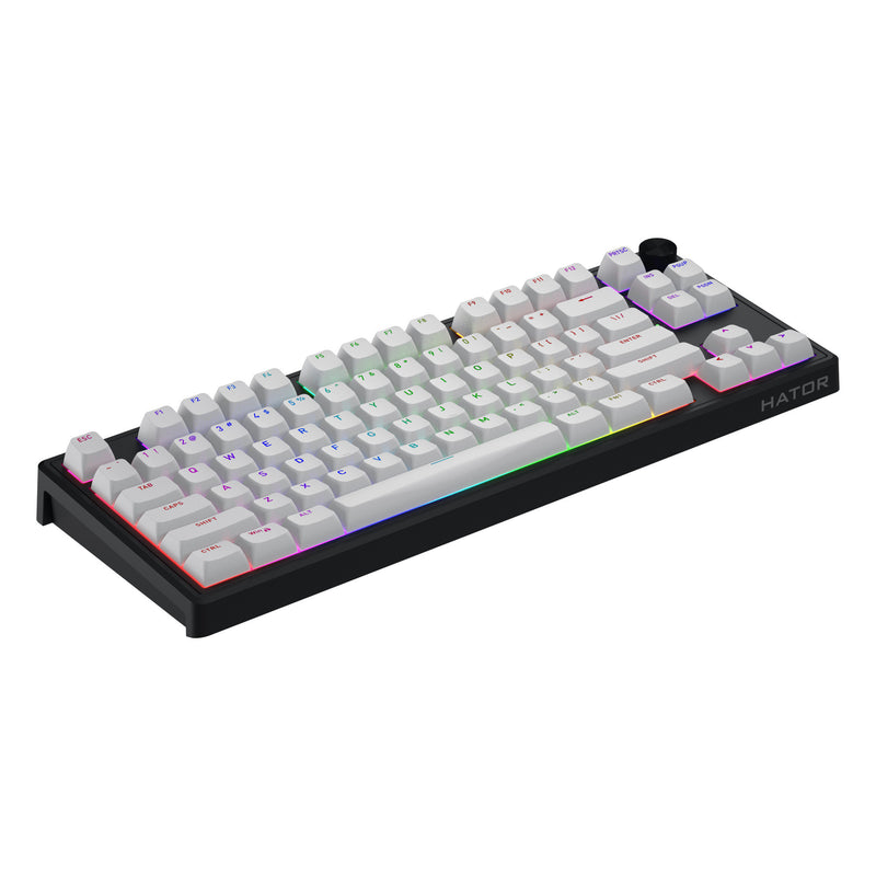 ギャラリービューアに画像をロードする, Hator skyfall mag ultra 8k rgb mechanisch gaming toetsenbord (zwart, us lay-out (qwerty), hator aurum ice, 80% (tkl), rgb, double-shot pbt, hot-swap)
