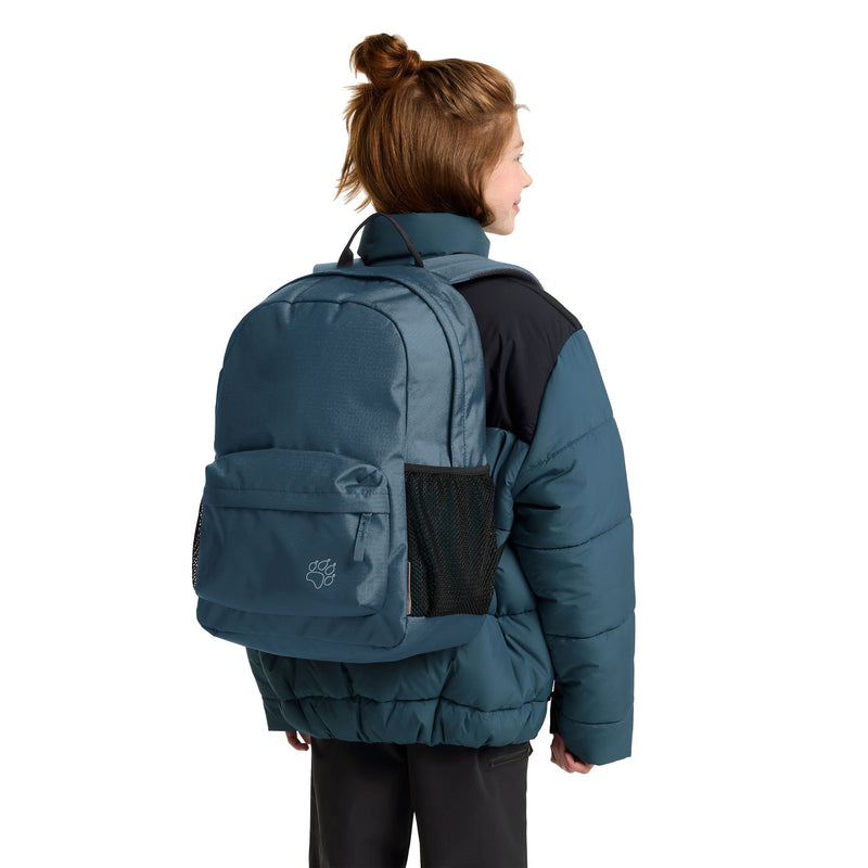 Load image into Gallery viewer, Jack wolfskin rebel pack 25 rugzak (blauw)
