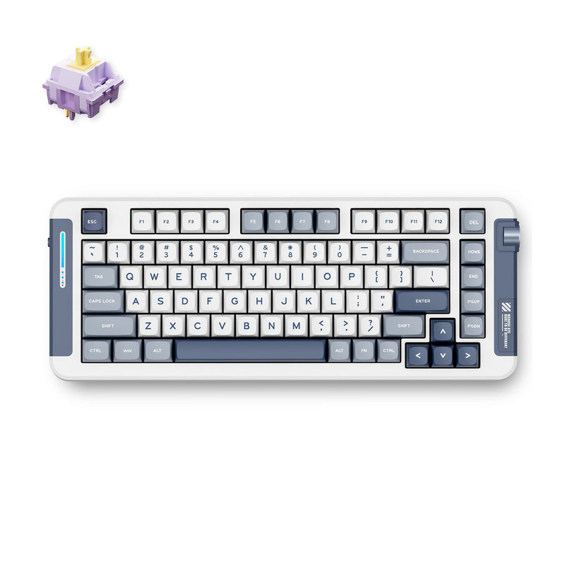Chargez l'image dans la visionneuse de la galerie, Mchose x75 navy blue hyacinth wireless gasket mount mechanical rgb toetsenbord (wit, us lay-out (qwerty), ktt hyacinth, 75%, rgb, hot swap, double-shot pbt, draadloos | bluetooth | usb-c)
