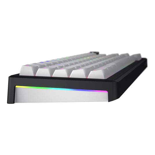 Hator skyfall wireless rgb mechanisch gaming toetsenbord (zwart, us lay-out (qwerty), hator aurum sterling, 65%, rgb, double shot abs, hot-swap, 2.4ghz | bluetooth | usb-c)