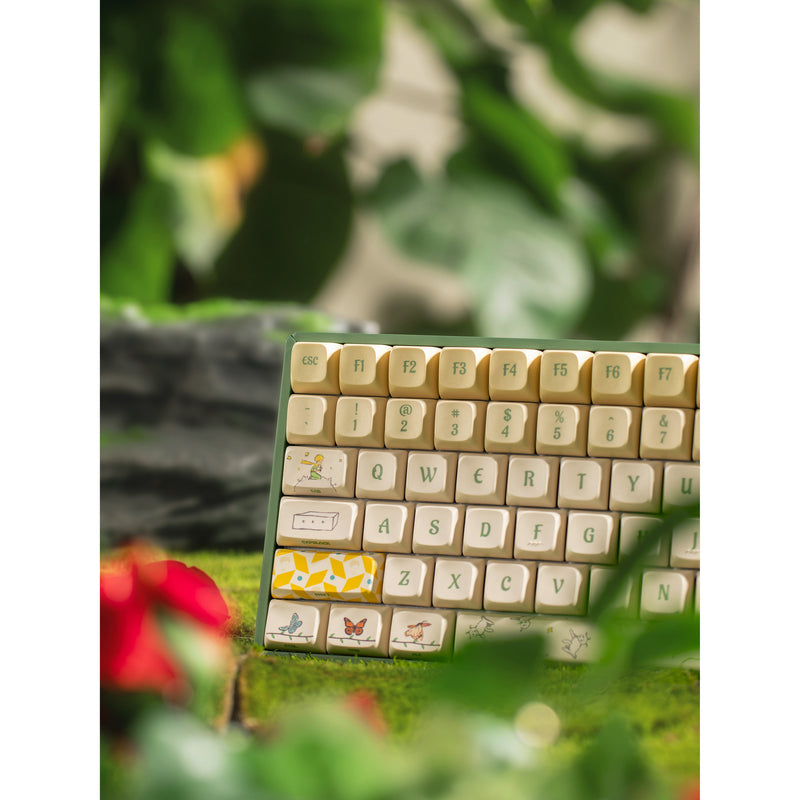Load image into Gallery viewer, Iqunix f97 floral date rgb mechanisch gaming toetsenbord (groen, us lay-out (qwerty), iqunix little prince, 96%, rgb leds, hot-swappable, pbt, 2.4ghz | bluetooth 5.1 | usb-c)

