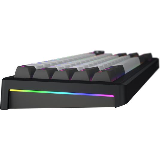 Hator skyfall pro wireless rgb mechanisch gaming toetsenbord (zwart, us lay-out (qwerty), hator aurum vanilla silent, 65%, rgb, double-shot pbt, hot-swap, 2.4ghz | bluetooth | usb-c)