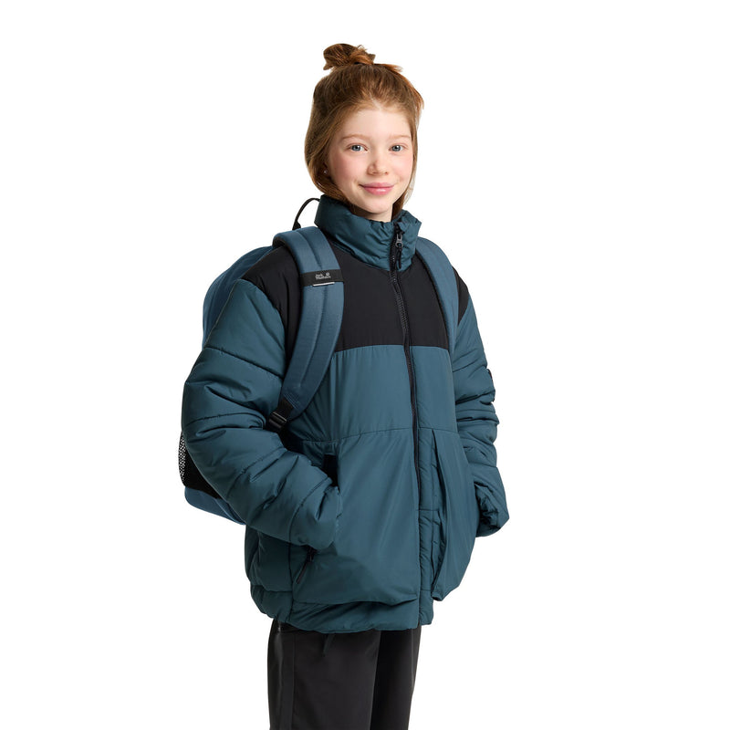 Load image into Gallery viewer, Jack wolfskin rebel pack 25 rugzak (blauw)
