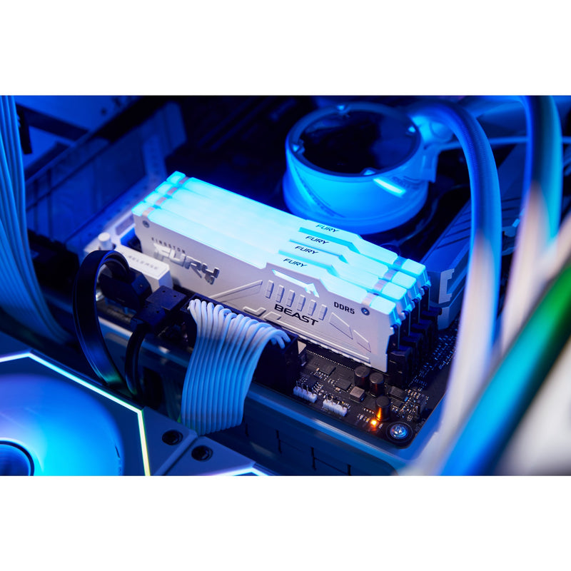 ギャラリービューアに画像をロードする, Kingston fury beast rgb 16 gb ddr5-5600 (1x 16 gb) werkgeheugen (wit, kf556c40bwa-16, xmp 3.0)
