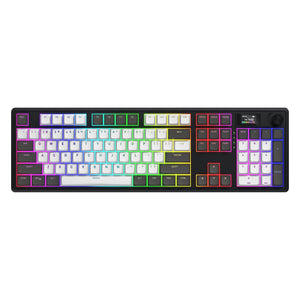 Hator skyfall pro wireless rgb mechanisch gaming toetsenbord (zwart, us lay-out (qwerty), hator aurum vanilla silent, 100%, rgb, double-shot pbt, hot-swap, 2.4ghz bluetooth usb-c)