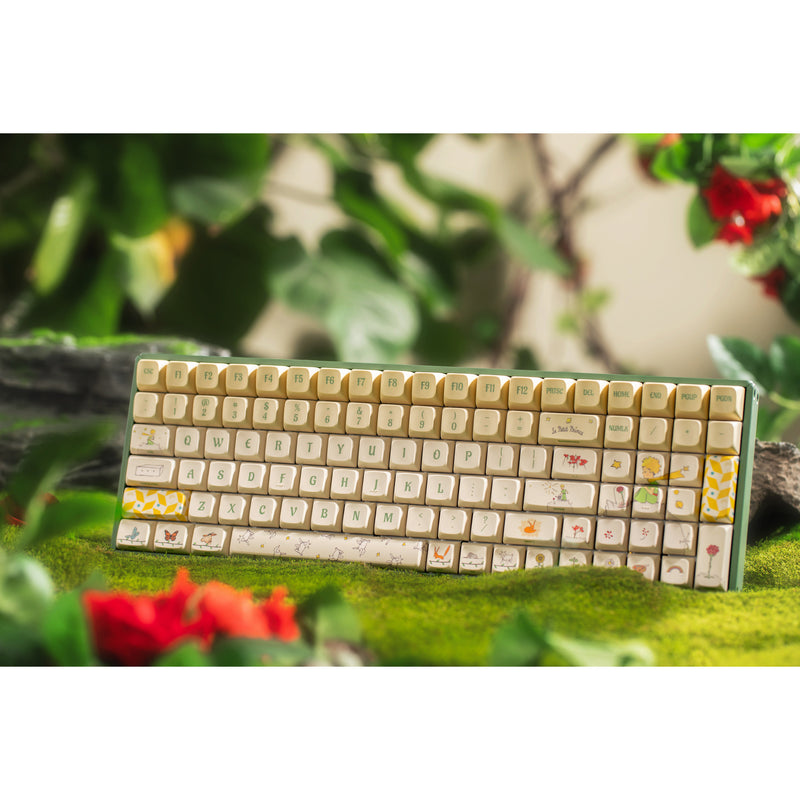 Load image into Gallery viewer, Iqunix f97 floral date rgb mechanisch gaming toetsenbord (groen, us lay-out (qwerty), iqunix little prince, 96%, rgb leds, hot-swappable, pbt, 2.4ghz | bluetooth 5.1 | usb-c)
