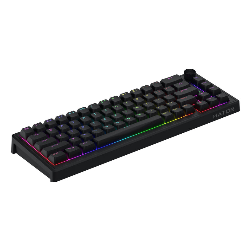 ギャラリービューアに画像をロードする, Hator skyfall wired rgb mechanisch gaming toetsenbord (zwart, us lay-out (qwerty), hator aurum sterling, 65%, rgb, double shot abs, hot-swap)
