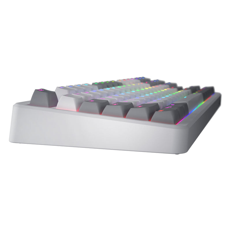 Chargez l'image dans la visionneuse de la galerie, Hator rockfall 3 tkl wireless rgb mechanisch gaming toetsenbord (wit, us lay-out (qwerty), hator aurum orange, 80% (tkl), rgb, pbt keycaps, hotswap, 2.4 ghz bluetooth usb-c)
