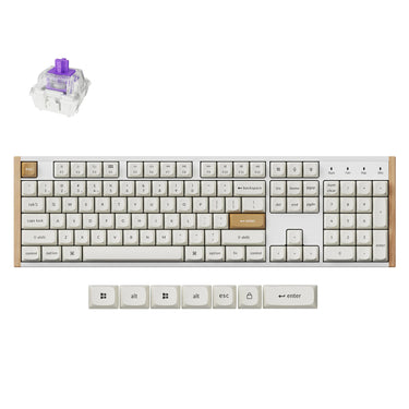 Keychron k10 he-q1 rgb mechanisch toetsenbord (wit, us lay-out (qwerty), gateron double-rail magnetic nebula, 100%, rgb leds, osa double-shot pbt, hot swap, usb-c | 2.4 ghz | bluetooth 5.1)