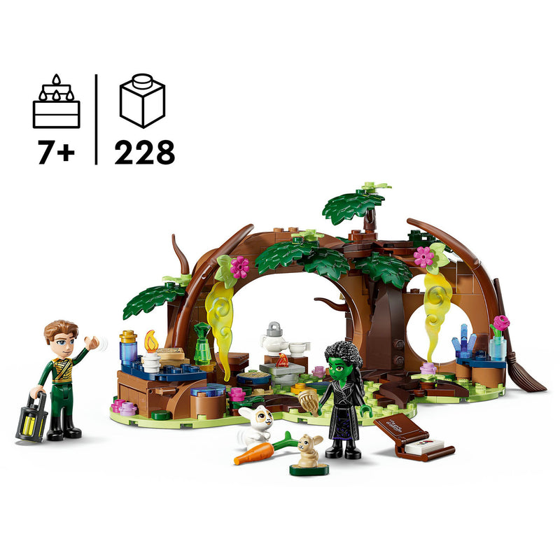 Load image into Gallery viewer, Lego wicked - elphaba's schuilhut constructiespeelgoed (75687)
