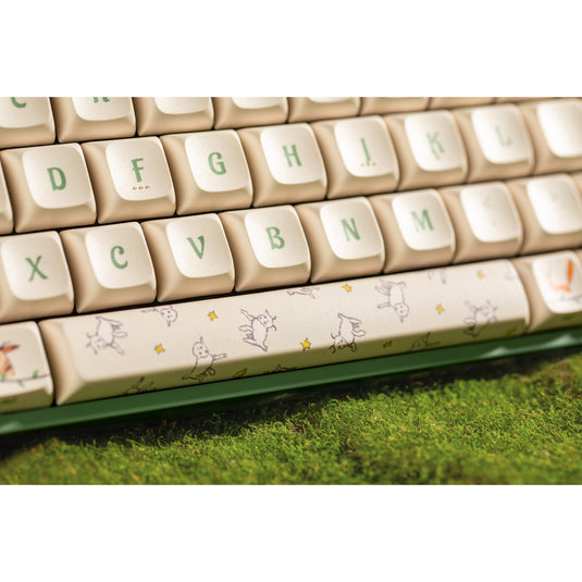 Iqunix f97 floral date rgb mechanisch gaming toetsenbord (groen, us lay-out (qwerty), iqunix little prince, 96%, rgb leds, hot-swappable, pbt, 2.4ghz | bluetooth 5.1 | usb-c)