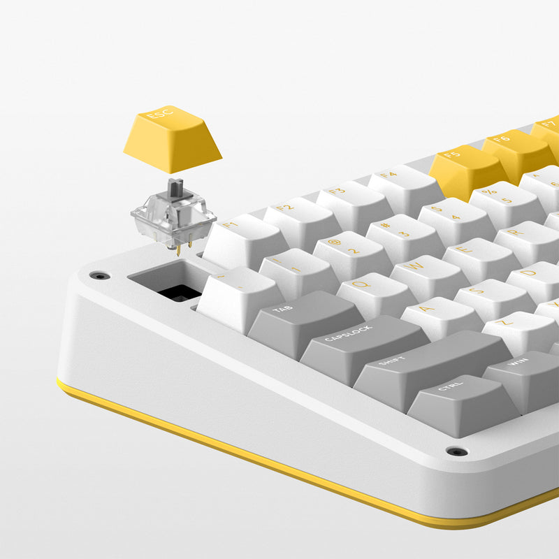 Load image into Gallery viewer, Ty iqunix zx75 gravi wave wireless mechanical keyboard (grijs, us lay-out (qwer), gateron red, 75%, rgb leds, hot-swappable, double-shot pbt, 2.4ghz | bluetooth 5.1 | usb-c)
