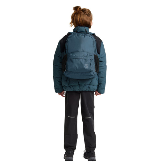 Jack wolfskin rebel pack 25 rugzak (blauw)