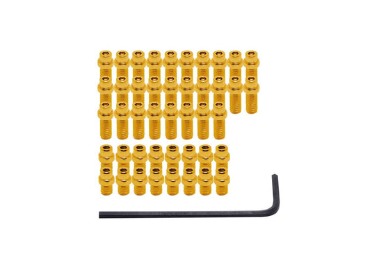 Dmr pin kit vault gold