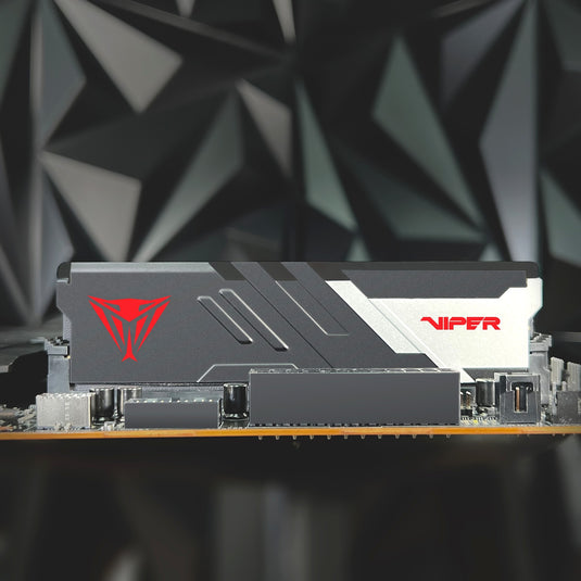 Patriot 32 gb ddr5-7000 kit werkgeheugen (zwart, viper venom, xmp 3.0)
