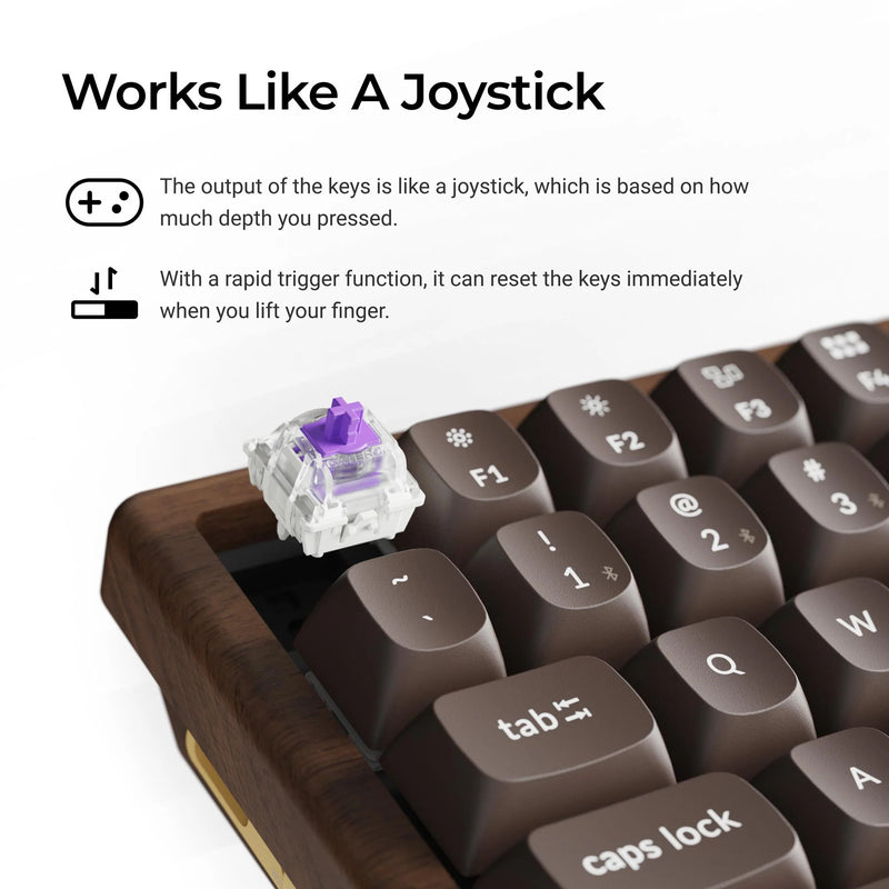 Load image into Gallery viewer, Keychron k2he all-wood special edition mechanisch toetsenbord (houtkleur, us lay-out (qwerty), gateron double-rail magnetic nebula, 75%, gateron double-rail magnetic, osa pbt double-shot, hot swap, bluetooth 5.2 | usb-c)
