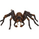 Schleich harry potter - aragog speelfiguur