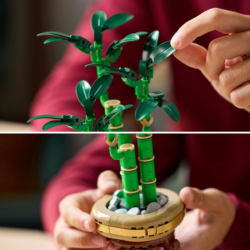 Load image into Gallery viewer, Lego botanicals 10344 bamboe
