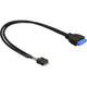 Delock usb 3.2 interne header naar usb 2.0 interne header adapter (zwart, 0,3 meter)