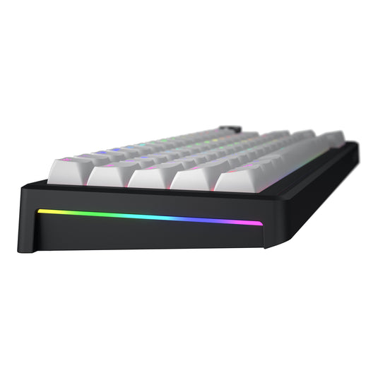 Hator skyfall mag ultra 8k rgb mechanisch gaming toetsenbord (zwart, us lay-out (qwerty), hator aurum ice, 65%, rgb, double-shot pbt, hot-swap)