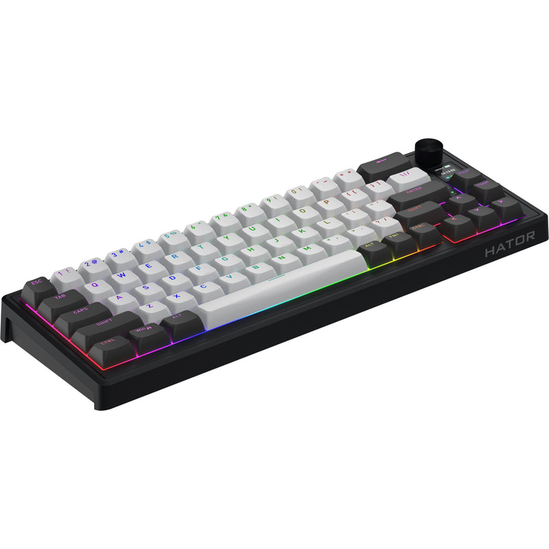 ギャラリービューアに画像をロードする, Hator skyfall pro wireless rgb mechanisch gaming toetsenbord (zwart, us lay-out (qwerty), hator aurum vanilla silent, 65%, rgb, double-shot pbt, hot-swap, 2.4ghz | bluetooth | usb-c)
