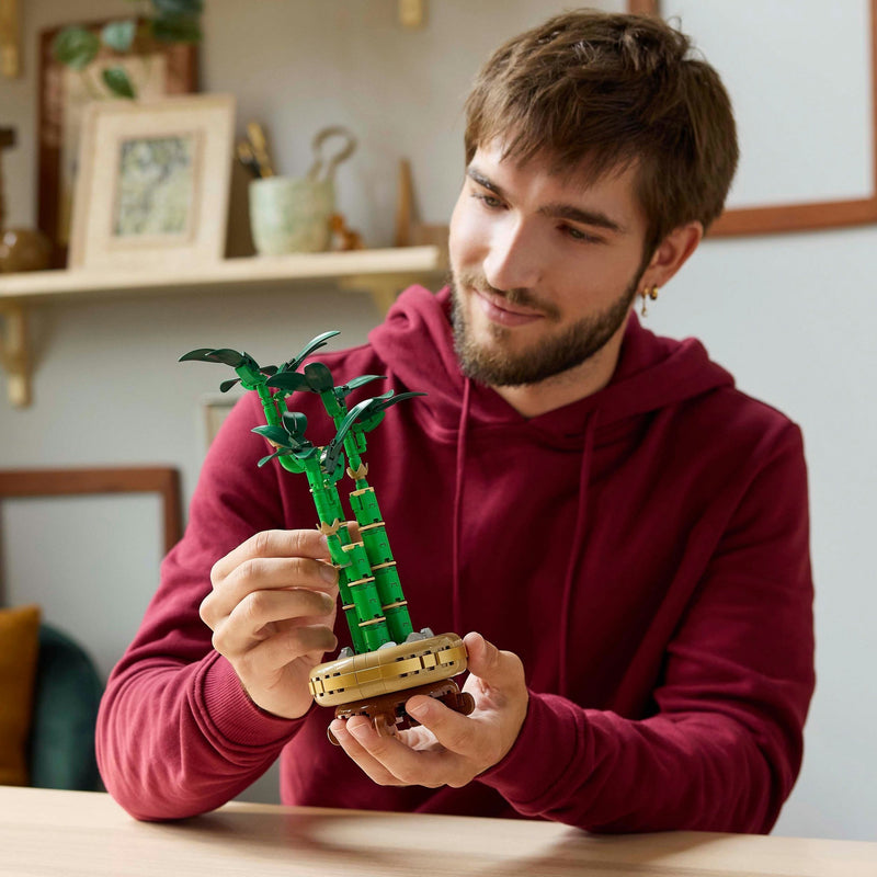Load image into Gallery viewer, Lego botanicals 10344 bamboe
