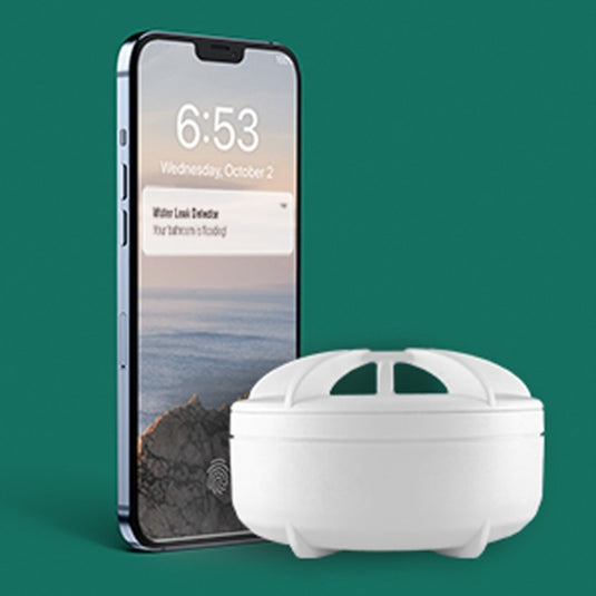 Frient water leak detector